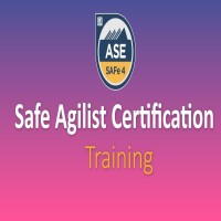 Best Safe Agilist Training  Safe Agilist Certification Training  HKR